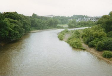 広瀬川
